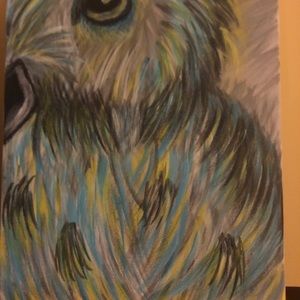 Meet your Posher, Janet